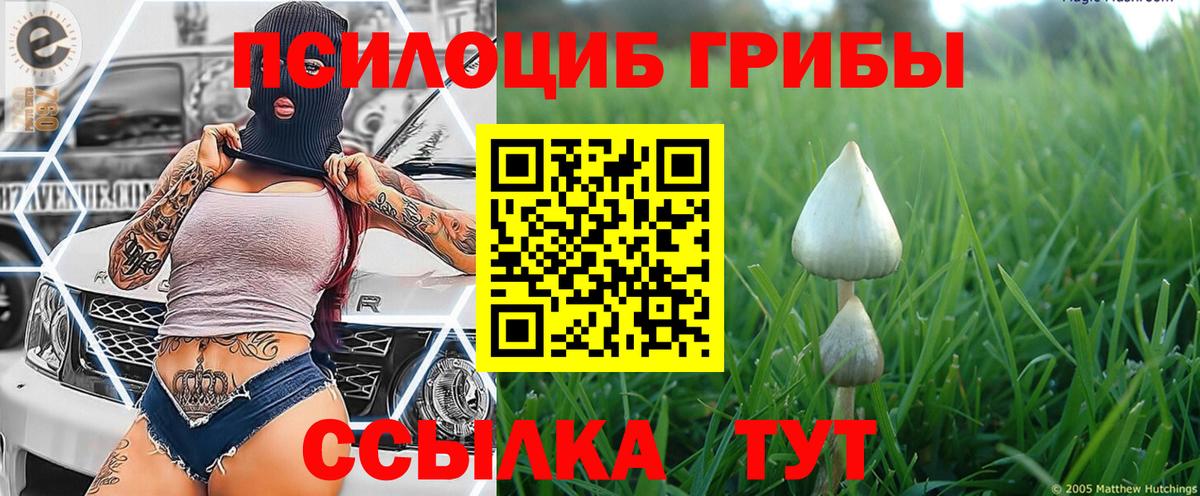 Псилоцибиновые грибы GOLDEN TEACHER  Вход с VPN  Мирный 
